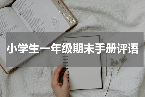 小学生一年级期末手册评语