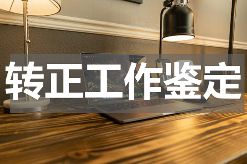 转正工作鉴定