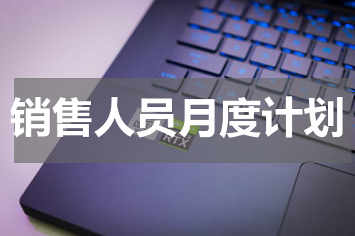 销售人员月度计划