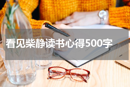 看见柴静读书心得500字