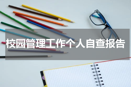 校园管理工作个人自查报告