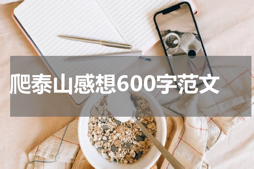 爬泰山感想600字范文