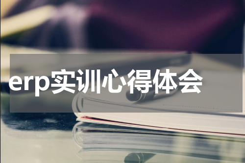 erp实训心得体会