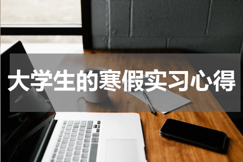 大学生的寒假实习心得