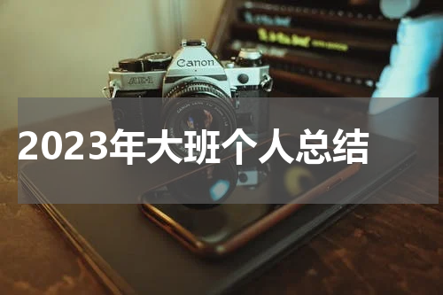 2023年大班个人总结