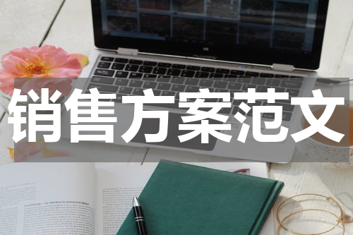 销售方案范文