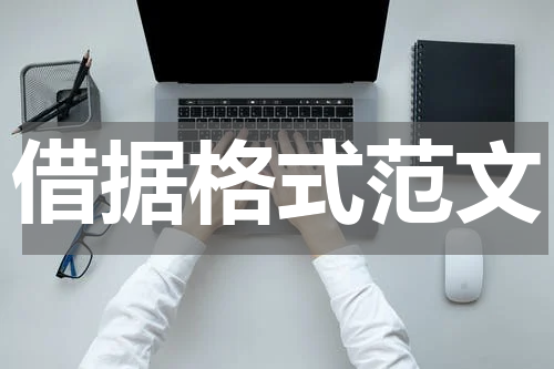 借据格式范文