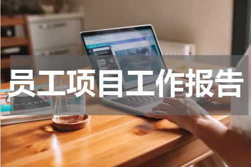 员工项目工作报告