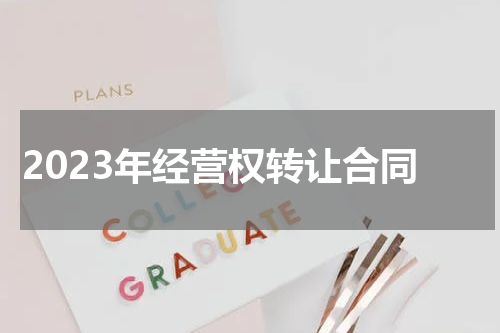 2023年经营权转让合同