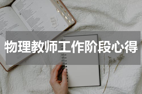 物理教师工作阶段心得