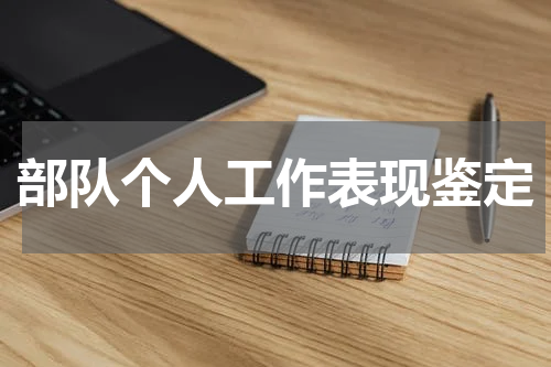 部队个人工作表现鉴定