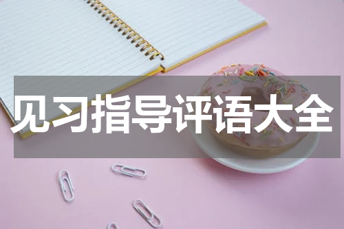 见习指导评语大全