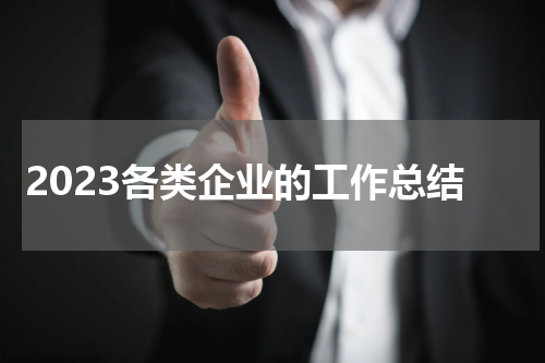 2023各类企业的工作总结