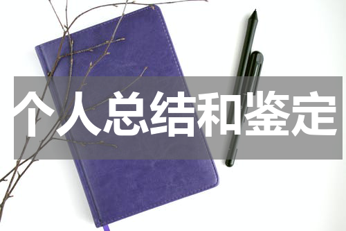 个人总结和鉴定