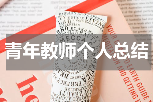 青年教师个人总结