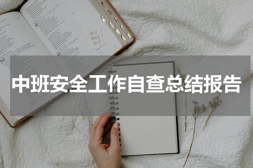 中班安全工作自查总结报告