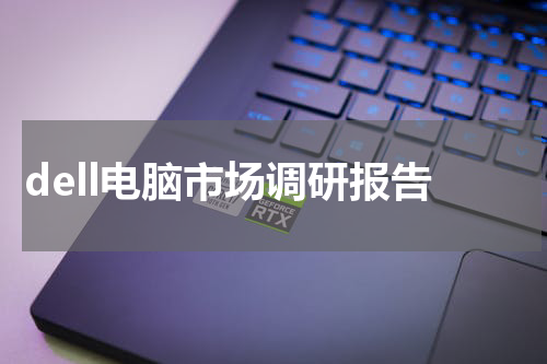 dell电脑市场调研报告