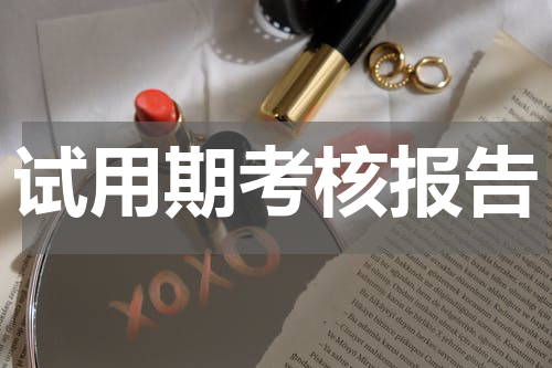 试用期考核报告