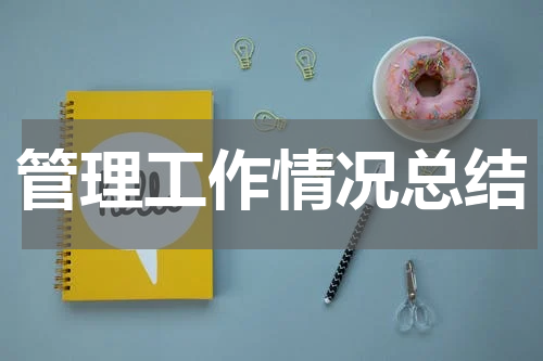 管理工作情况总结