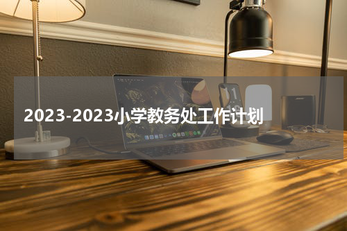 2023-2023小学教务处工作计划