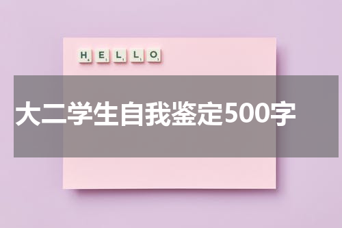 大二学生自我鉴定500字