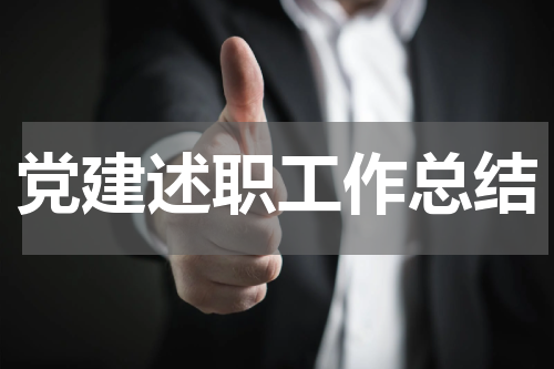 党建述职工作总结