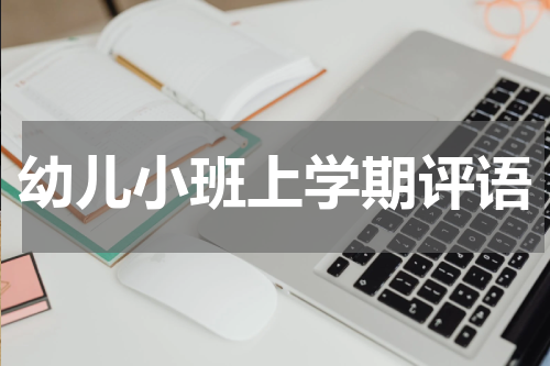 幼儿小班上学期评语