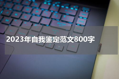 2023年自我鉴定范文800字