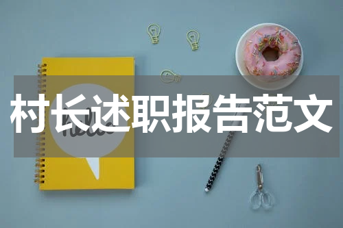 村长述职报告范文