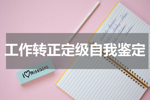 工作转正定级自我鉴定