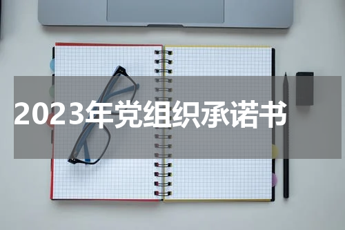 2023年党组织承诺书