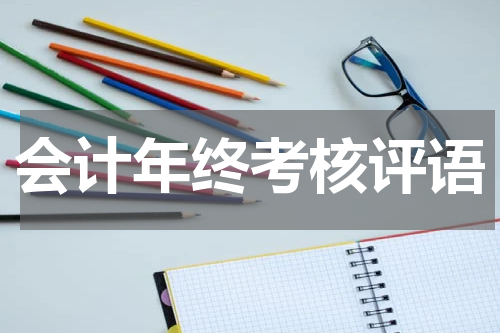 会计年终考核评语