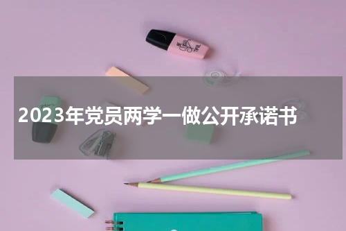 2023年党员两学一做公开承诺书