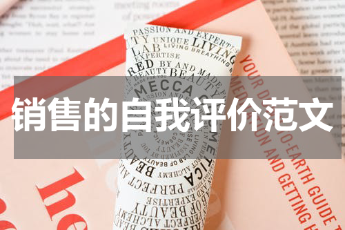 销售的自我评价范文