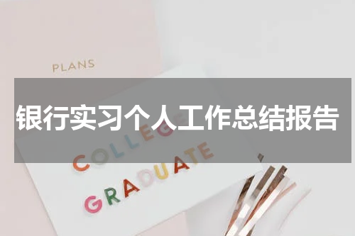银行实习个人工作总结报告