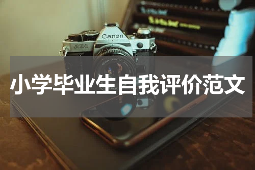 小学毕业生自我评价范文