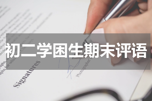 初二学困生期末评语