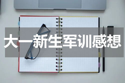 大一新生军训感想