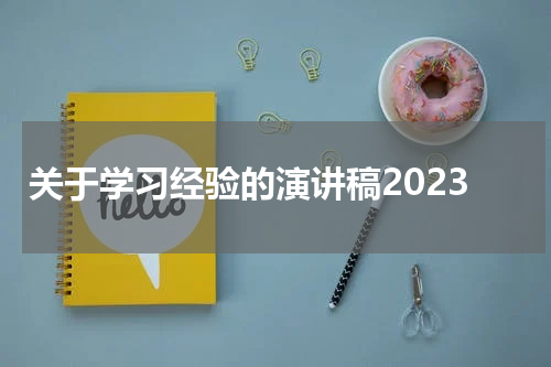 关于学习经验的演讲稿2023