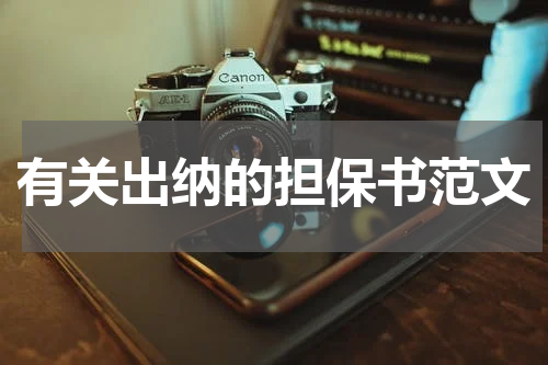 有关出纳的担保书范文