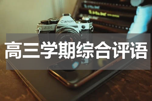 高三学期综合评语