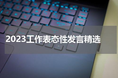 2023工作表态性发言精选