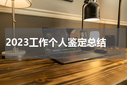 2023工作个人鉴定总结
