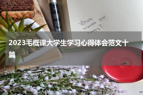 2023毛概课大学生学习心得体会范文十篇