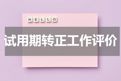 试用期转正工作评价