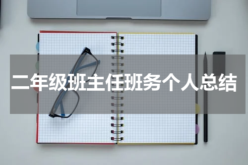 二年级班主任班务个人总结