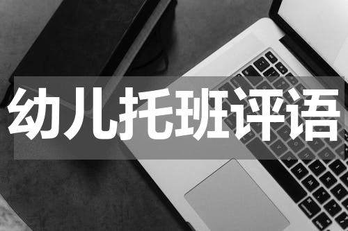 幼儿托班评语