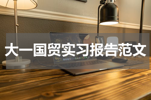 大一国贸实习报告范文