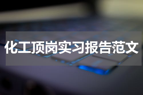 化工顶岗实习报告范文