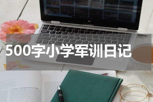 500字小学军训日记